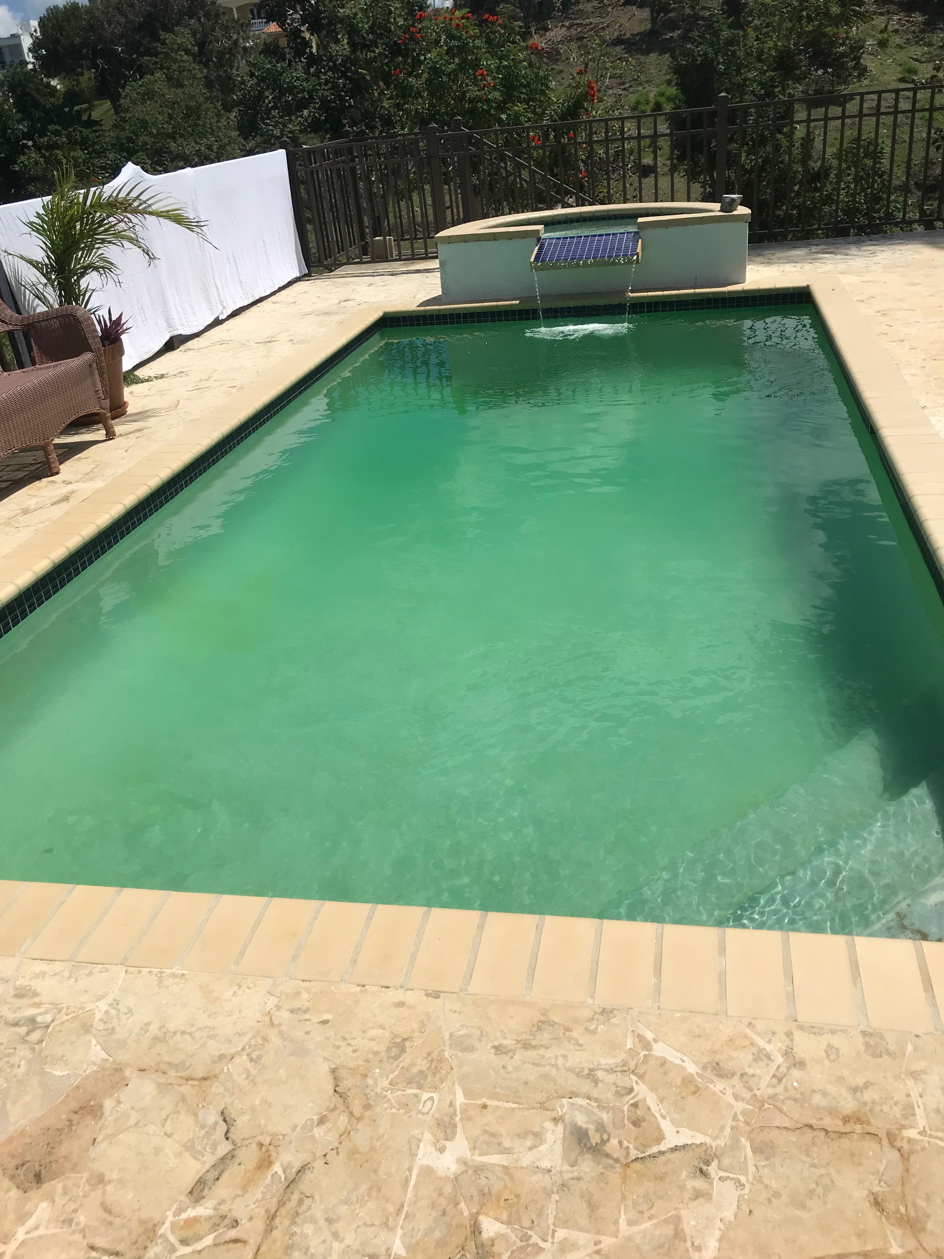 pool dirty Before